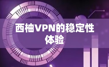 西柚VPN的稳定性体验