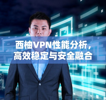 西柚VPN性能分析，高效稳定与安全融合