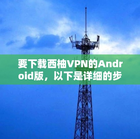 要下载西柚VPN的Android版，以下是详细的步骤指南