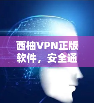 西柚VPN正版软件，安全通信的选择
