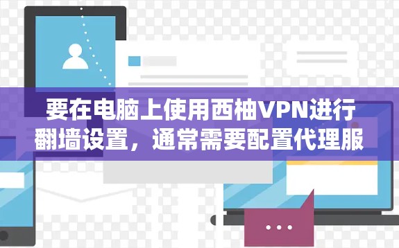 要在电脑上使用西柚VPN进行翻墙设置，通常需要配置代理服务器以绕过网络限制。以下是详细的步骤指南