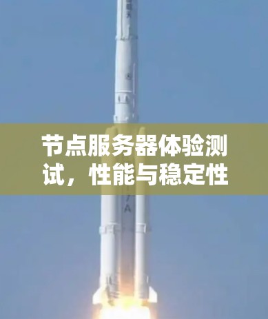 节点服务器体验测试，性能与稳定性的全面考量