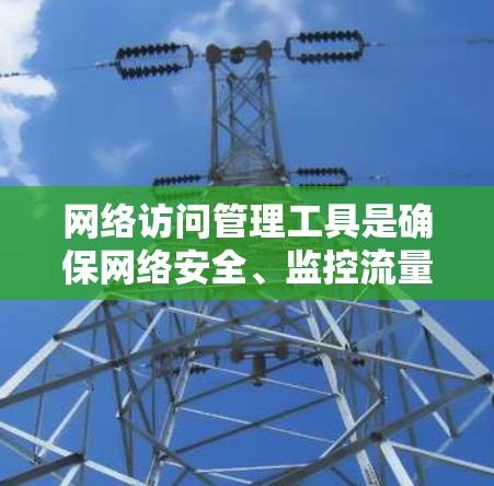 网络访问管理工具是确保网络安全、监控流量、控制访问、支持合规并提高网络性能的关键。以下是对这些工具的总结和建议