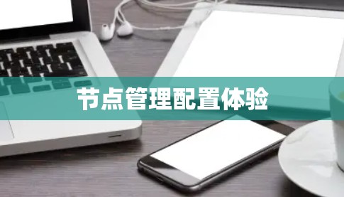 节点管理配置体验