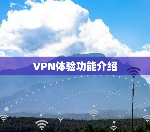 VPN体验功能介绍