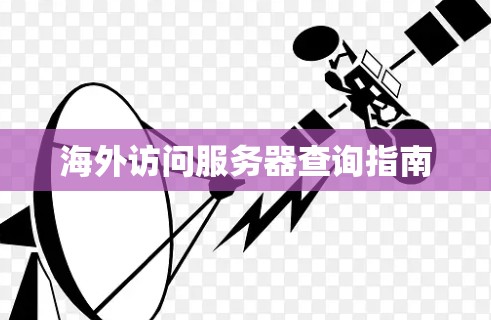 海外访问服务器查询指南
