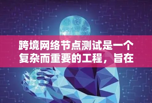 跨境网络节点测试是一个复杂而重要的工程，旨在确保不同国家和地区之间的网络节点能够高效、安全地互联。以下是对这一测试的详细分步指南