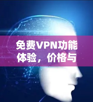 免费VPN功能体验，价格与性能的平衡之道