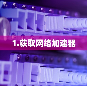 1.获取网络加速器