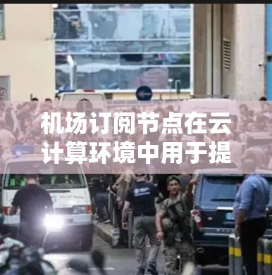 机场订阅节点在云计算环境中用于提供计算资源，用户可以按需订阅使用。以下是关于机场订阅节点的使用情况的详细说明