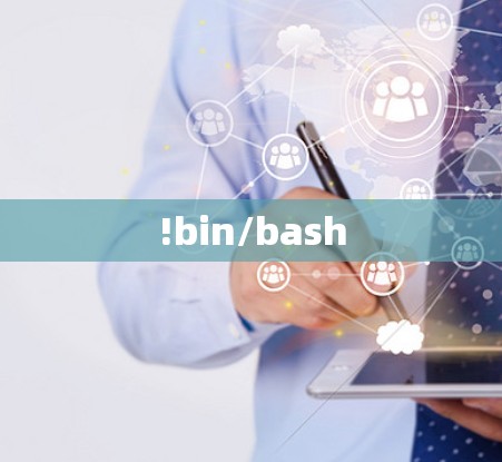 !bin/bash