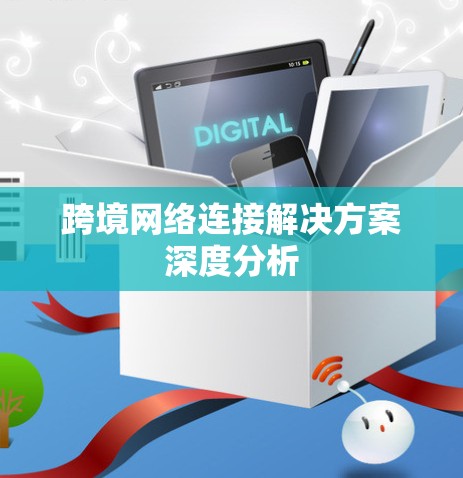 跨境网络连接解决方案深度分析