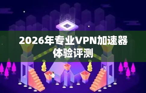 2026年专业VPN加速器体验评测