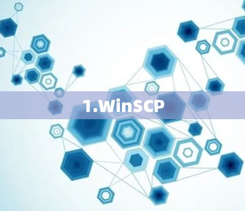 1.WinSCP