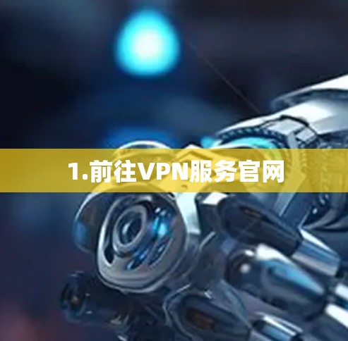 1.前往VPN服务官网