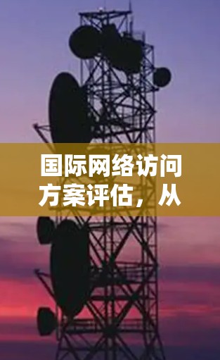 国际网络访问方案评估，从技术到成本的全方位分析