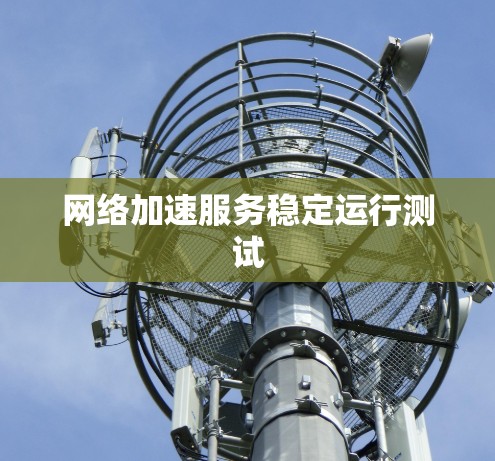 网络加速服务稳定运行测试