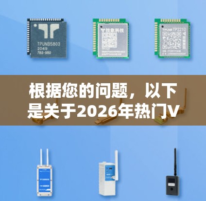 根据您的问题，以下是关于2026年热门VPN梯子软件的推荐和详细分析