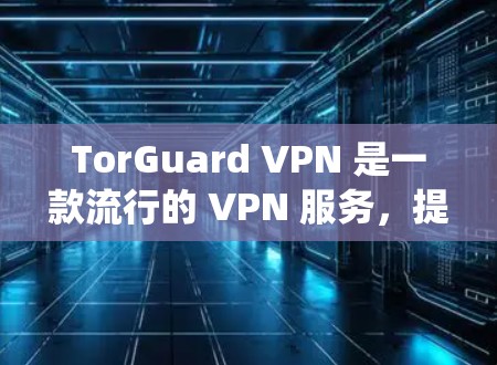 TorGuard VPN 是一款流行的 VPN 服务，提供了强大的隐私保护功能。以下是为 Windows 系统配置 TorGuard VPN 的详细步骤