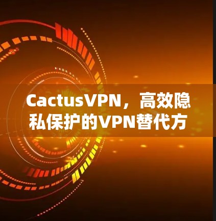 CactusVPN，高效隐私保护的VPN替代方案