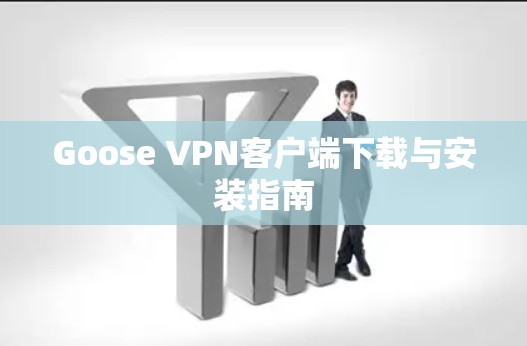 Goose VPN客户端下载与安装指南
