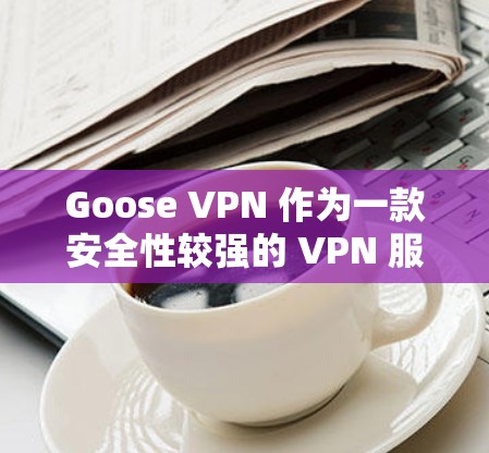 Goose VPN 作为一款安全性较强的 VPN 服务，提供了多项高级的安全功能和隐私保护措施，以确保用户的网络活动不被泄露或追踪。以下是 Goose VPN 的主要安全功能和隐私保护说明