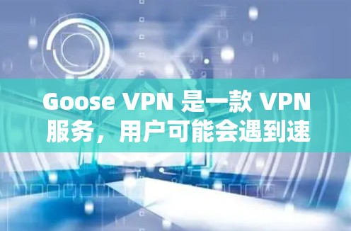 Goose VPN 是一款 VPN 服务，用户可能会遇到速度问题，特别是在连接到服务器时。为了帮助用户优化 VPN 速度，以下是一些关于线路调整的教程和方法