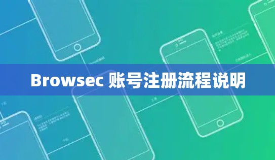 Browsec 账号注册流程说明
