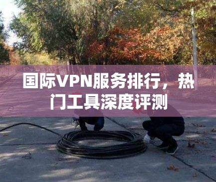 国际VPN服务排行，热门工具深度评测