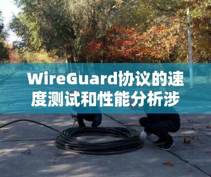WireGuard协议的速度测试和性能分析涉及多个方面，以下是对这一过程的详细总结