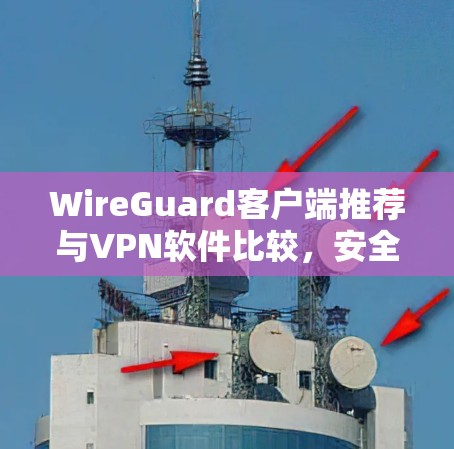 WireGuard客户端推荐与VPN软件比较，安全加速的最佳选择