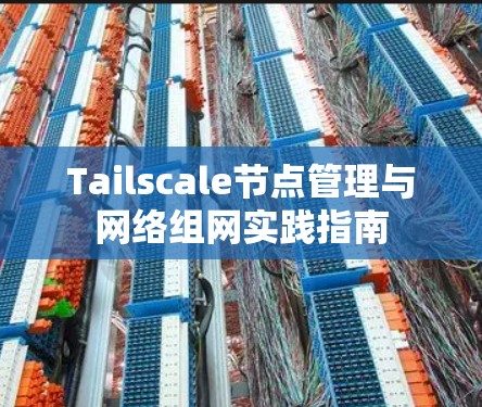 Tailscale节点管理与网络组网实践指南
