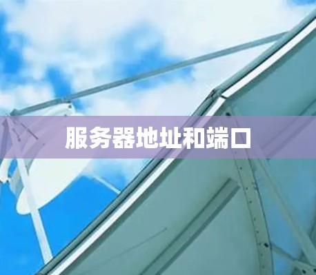 服务器地址和端口