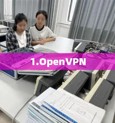 1.OpenVPN