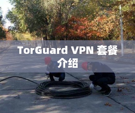 TorGuard VPN 套餐介绍