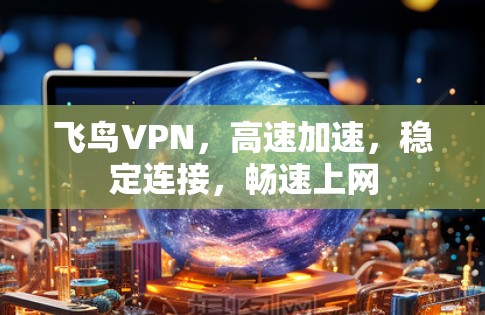 飞鸟VPN，高速加速，稳定连接，畅速上网