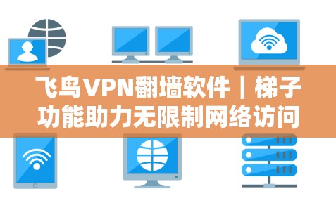 飞鸟VPN翻墙软件｜梯子功能助力无限制网络访问