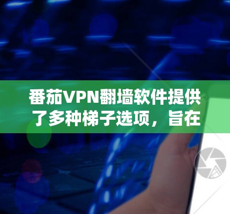 番茄VPN翻墙软件提供了多种梯子选项，旨在帮助用户绕过网络限制，访问受限网站。以下是对其梯子版本的详细分析和建议
