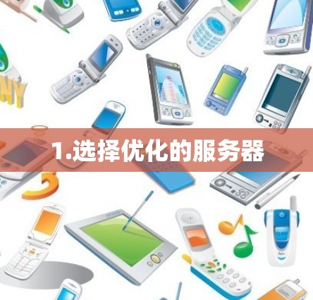 1.选择优化的服务器