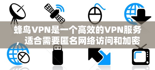 蜂鸟VPN是一个高效的VPN服务，适合需要匿名网络访问和加密通信的用户。以下是对蜂鸟VPN的详细分析和总结