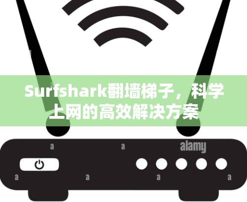 Surfshark翻墙梯子，科学上网的高效解决方案
