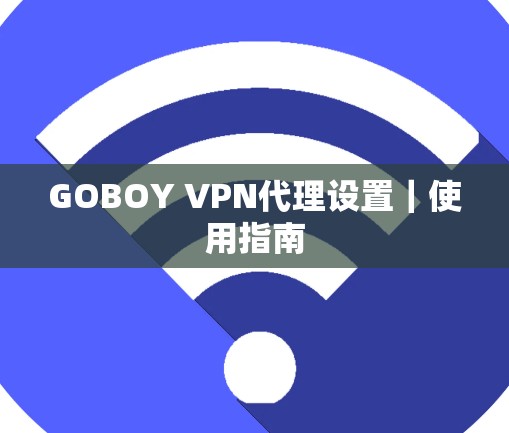 GOBOY VPN代理设置｜使用指南