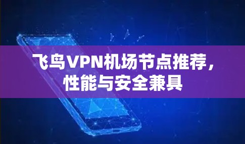 飞鸟VPN机场节点推荐，性能与安全兼具
