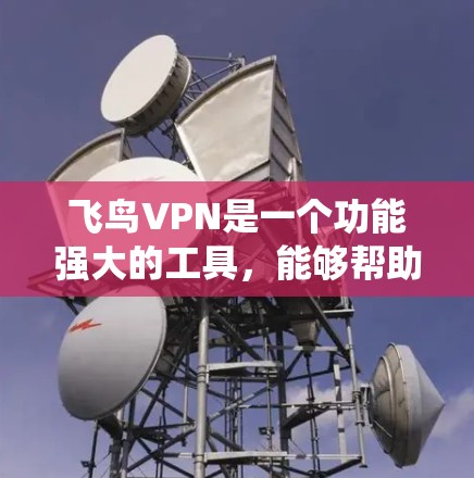 飞鸟VPN是一个功能强大的工具，能够帮助用户绕过网络限制，访问受限的网站。以下是使用飞鸟VPN的详细指南