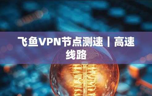 飞鱼VPN节点测速｜高速线路