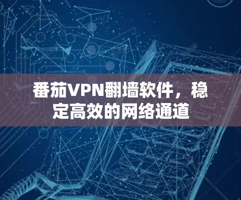 番茄VPN翻墙软件，稳定高效的网络通道