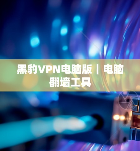 黑豹VPN电脑版｜电脑翻墙工具