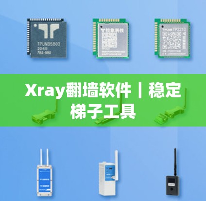 Xray翻墙软件｜稳定梯子工具