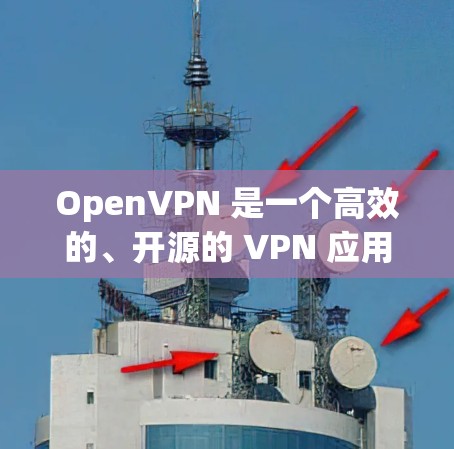 OpenVPN 是一个高效的、开源的 VPN 应用，支持多种协议和加密方法，适合用户需要保护隐私或访问受限网络的情况。以下是一些关于 OpenVPN 和 VPN 工具的详细信息