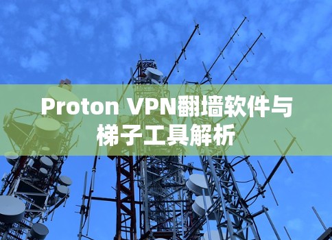 Proton VPN翻墙软件与梯子工具解析
